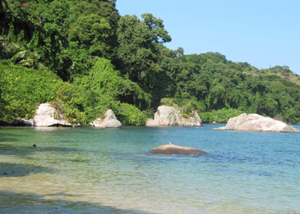 Praia do Tanguazinho em Angra dos Reis